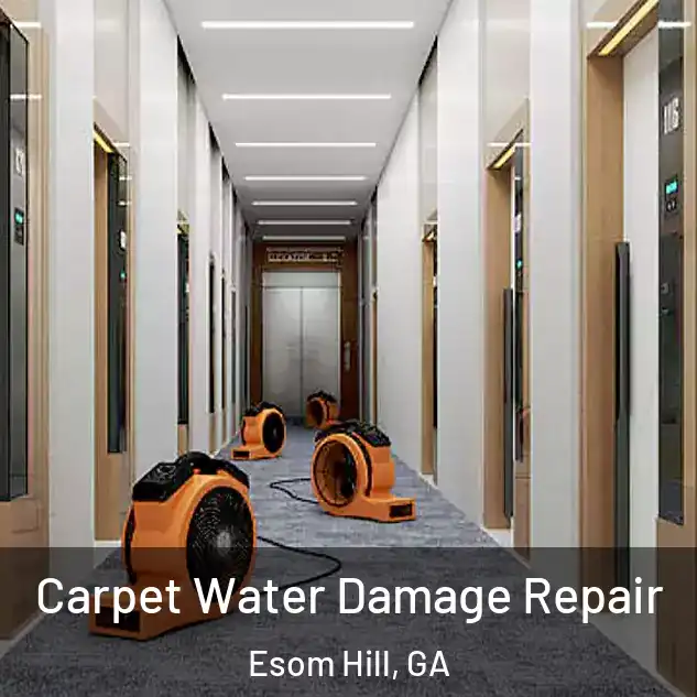  Carpet Water Damage Repair Esom Hill, GA