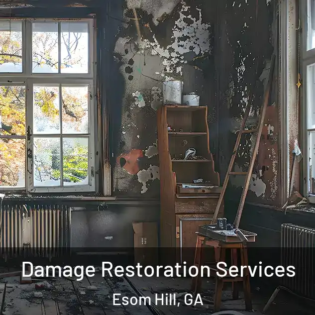  Damage Restoration Services Esom Hill, GA