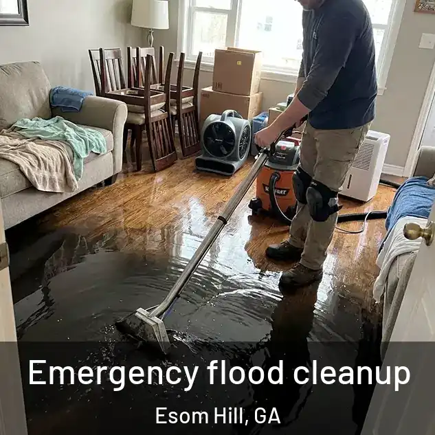  Emergency flood cleanup Esom Hill, GA