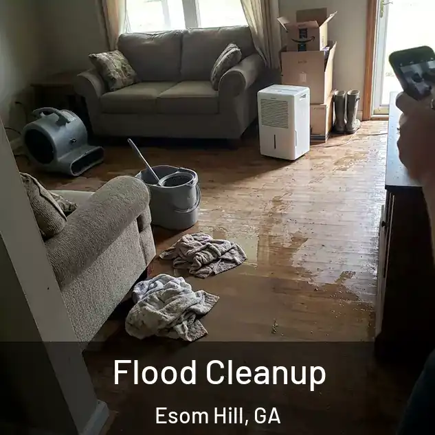  Flood Cleanup Esom Hill, GA