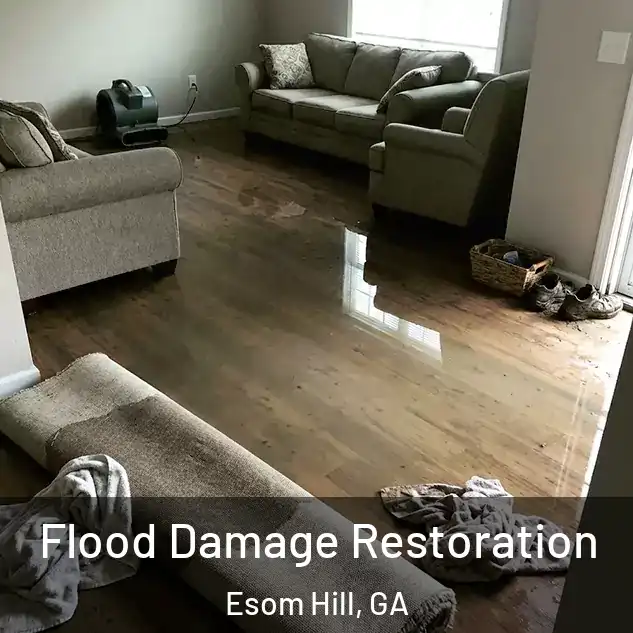  Flood Damage Restoration Esom Hill, GA
