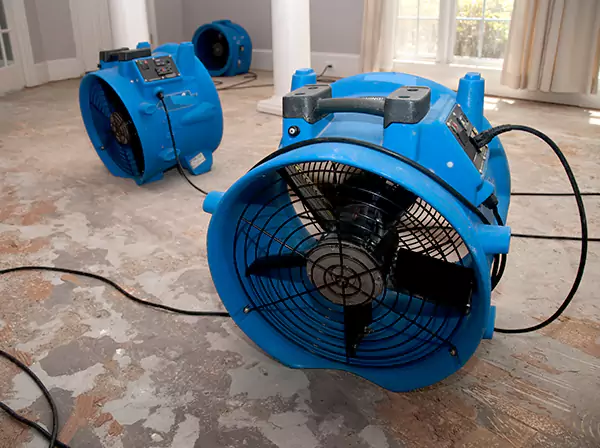 Water Damage Reconstruction in Esom Hill