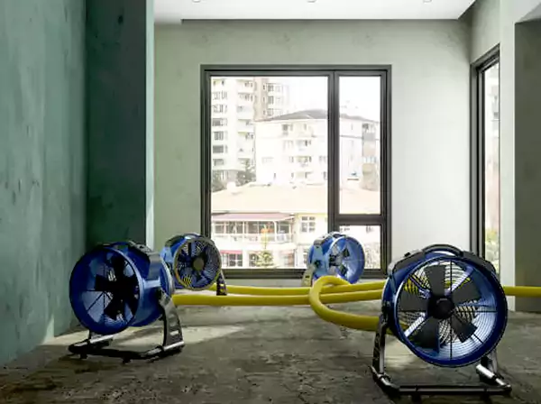 Water Removal Services in Esom Hill