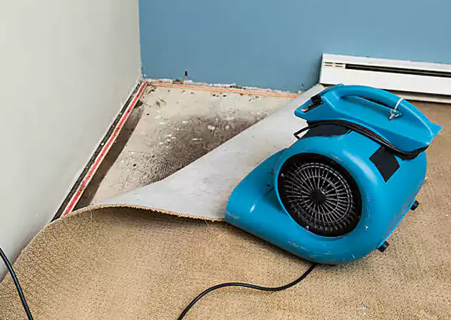 Your Water Damage Experts in Esom Hill, GA