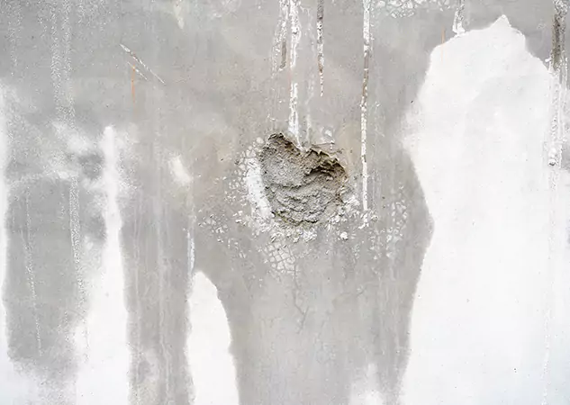 Your Mold Mitigation Solutions Partner in Esom Hill, GA