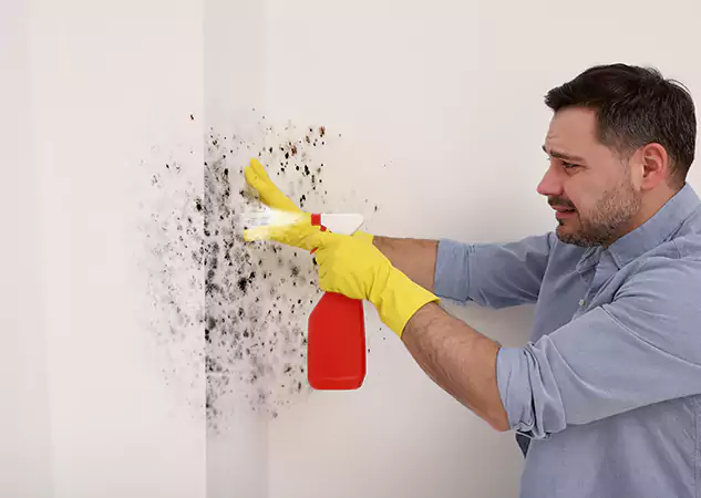 Your Water Mold Fire Restoration Partner in Esom Hill, GA