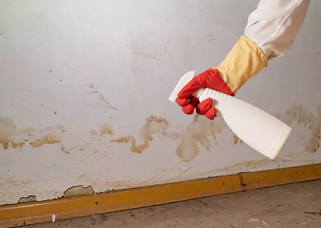 Your Water Restoration and Mold Remediation Specialists in Esom Hill, GA