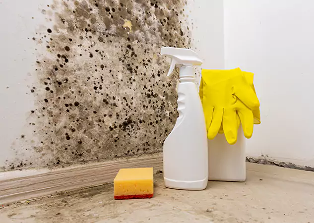 Your Reliable Restoration Company in Esom Hill, GA