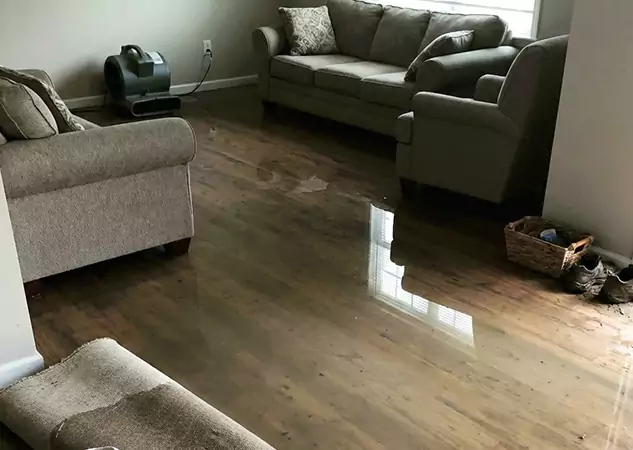 Your Trusted Restoration Company in Esom Hill, GA
