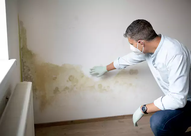 Reach Our Remediation Team Before Damage Grows in Esom Hill, GA!