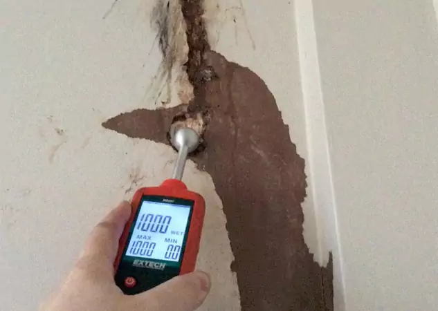 Your Water Damage Assessment Partner in Esom Hill, GA