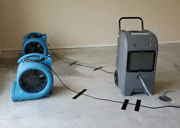 Your Water Dry Out Company in Esom Hill, GA