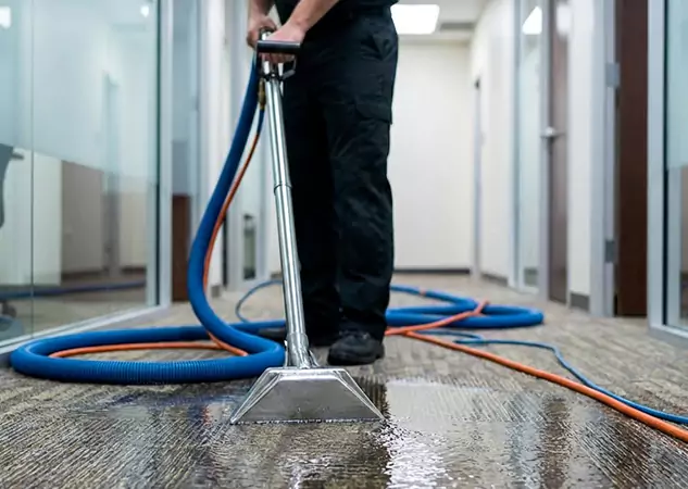 Your Water Damaged Carpet Restoration Partner in Esom Hill, GA