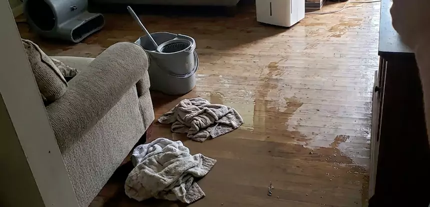 Professional Basement Water Remediation Services in Esom Hill, GA