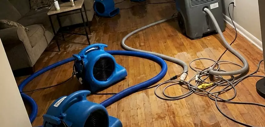 Basement Flood Restoration Services in Esom Hill
