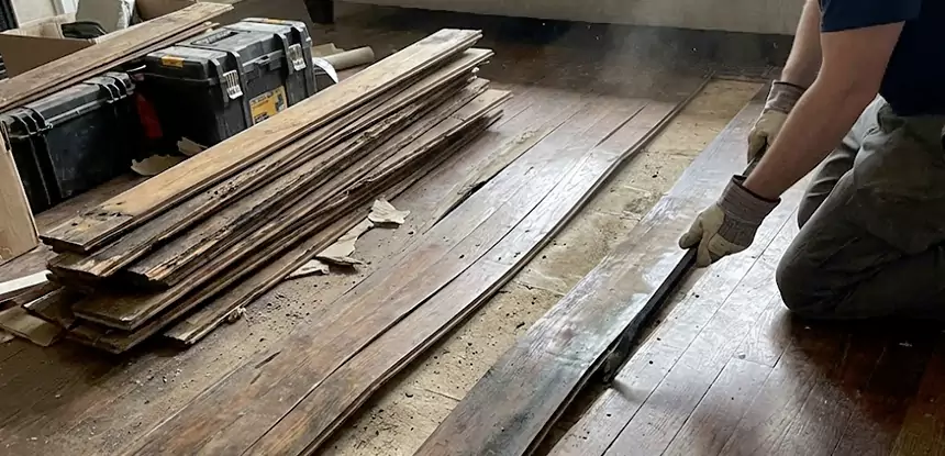 Wood Rot and Fungus Repair in Esom Hill