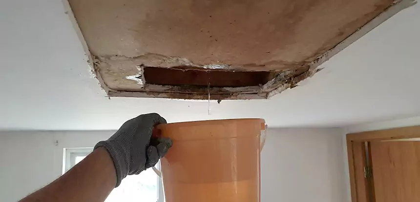Ceiling Mold Repair Esom Hill