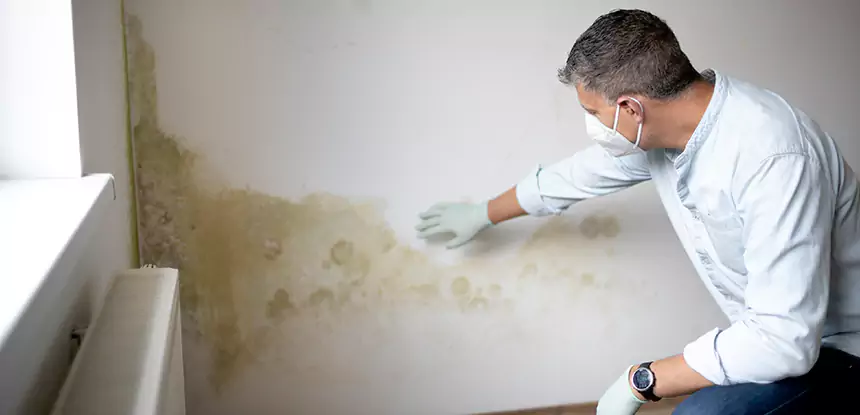 Mold and Water Damage Repair in Esom Hill