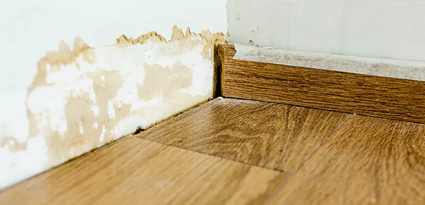 Professional Fix Water Damaged Wood Services in Esom Hill, GA