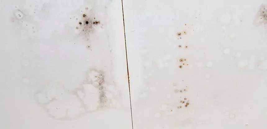 Professional Water Stain Repair Services in Esom Hill, GA