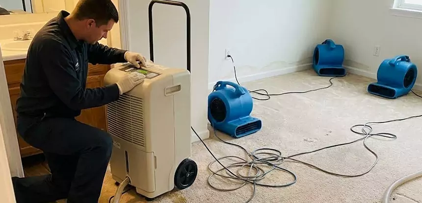 Professional Wet Carpet Removal Services in Esom Hill, GA