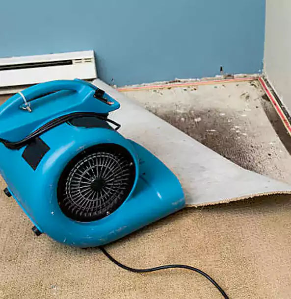 Why Esom Hill Trusts Esom Hill Restoration Pro for Carpet Flood Recovery?