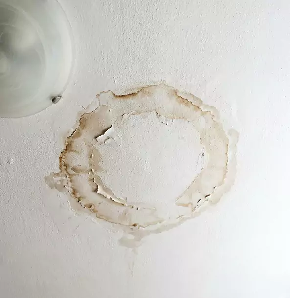 Why Esom Hill Property Owners Choose Esom Hill Restoration Pro for Ceiling Water Damage Restoration?
