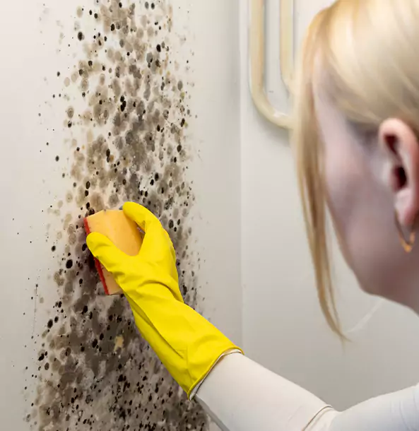 Why Esom Hill Restoration Pro Leads Mold Remediation in Esom Hill?