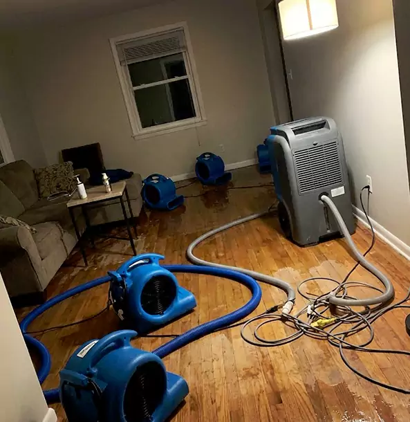 Why Esom Hill Property Owners Rely on Esom Hill Restoration Pro for Remediation?