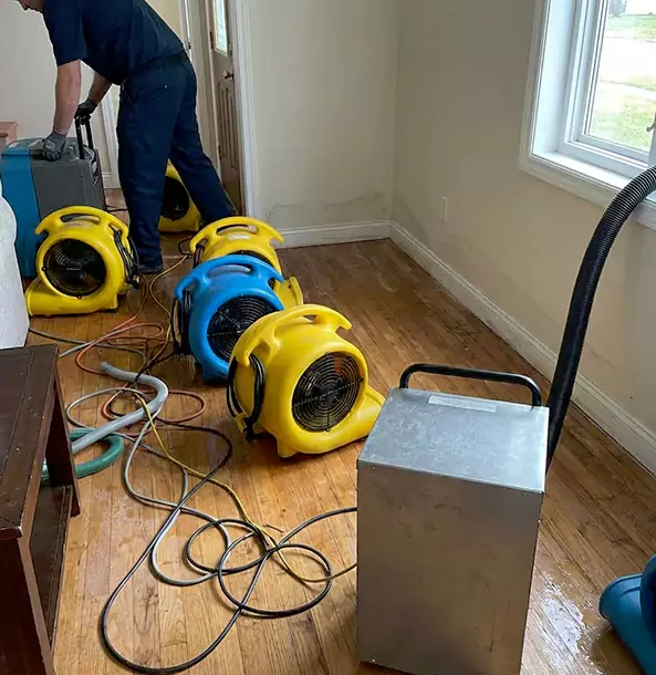Why Esom Hill Property Owners Choose Esom Hill Restoration Pro for Remediation?
