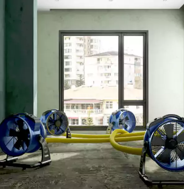 Why Esom Hill Property Owners Trust Esom Hill Restoration Pro for Water Damage Drying?