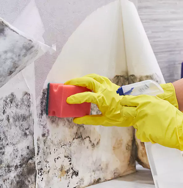 Why Esom Hill Trusts Esom Hill Restoration Pro for Mold and Water Restoration?
