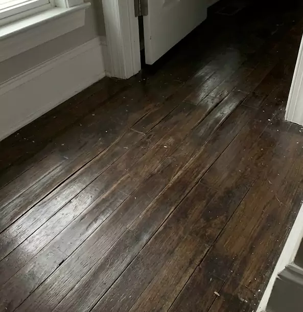Why Esom Hill Homeowners Trust Esom Hill Restoration Pro to Fix Water Damaged Wood?