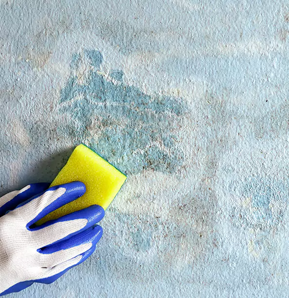Why Esom Hill Restoration Pro Is the Right Choice in Esom Hill, GA?