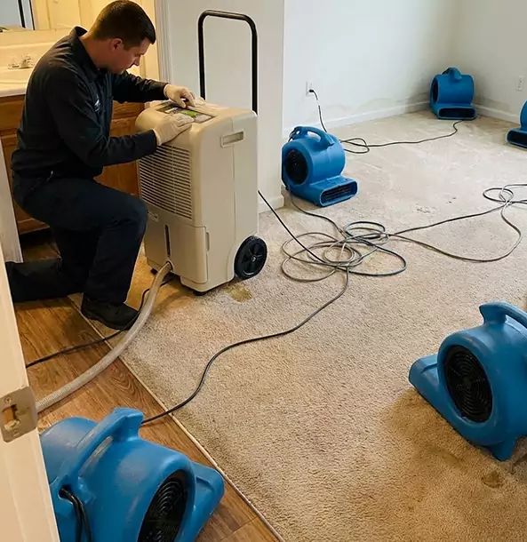 Why Esom Hill Homeowners and Businesses Trust Esom Hill Restoration Pro for Carpet Drying?