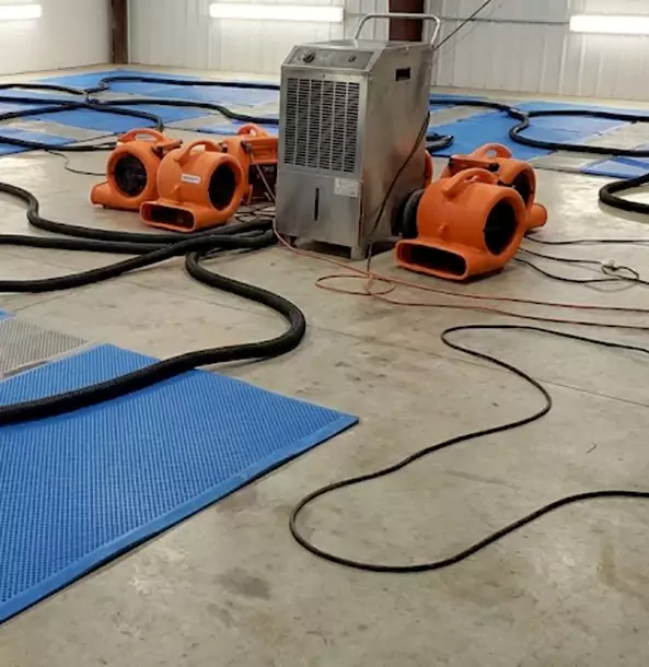 Why Esom Hill Homeowners and Businesses Choose Esom Hill Restoration Pro for Wet Carpet Removal?