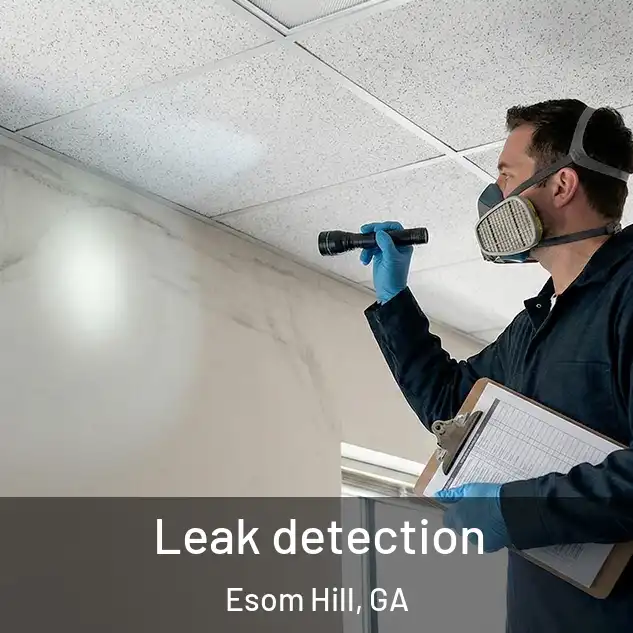  Leak detection Esom Hill, GA