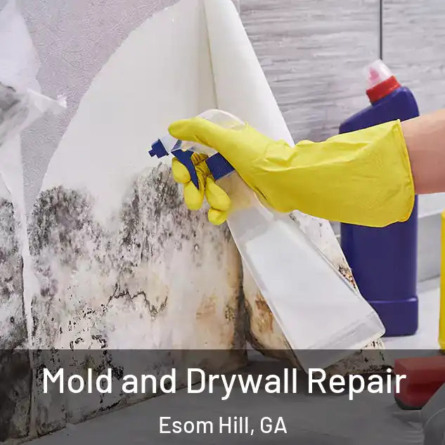  Mold and Drywall Repair Esom Hill, GA