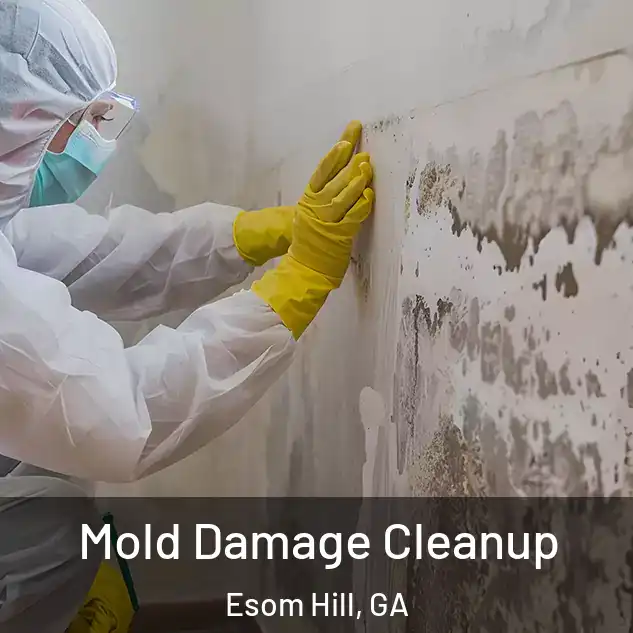  Mold Damage Cleanup Esom Hill, GA