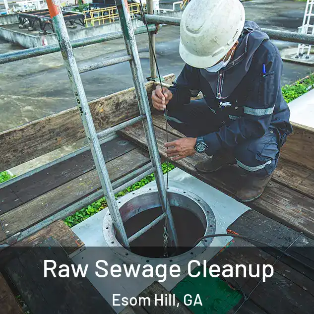  Raw Sewage Cleanup Esom Hill, GA