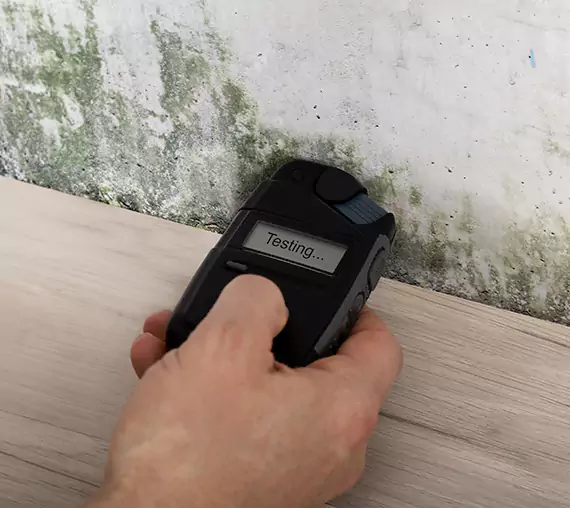 Mold Remediation Service Esom Hill