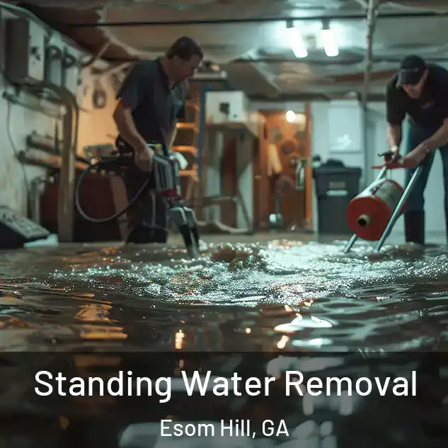  Standing Water Removal Esom Hill, GA