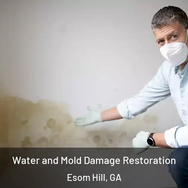  Water and Mold Damage Restoration Esom Hill, GA