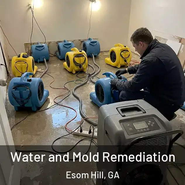  Water and Mold Remediation Esom Hill, GA