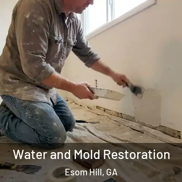  Water and Mold Restoration Esom Hill, GA