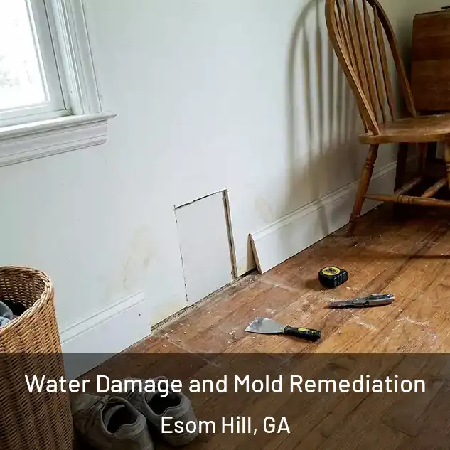  Water Damage and Mold Remediation Esom Hill, GA