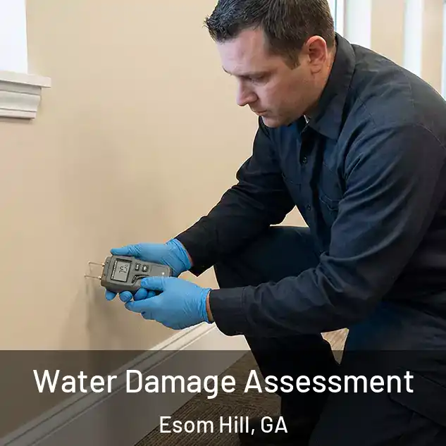  Water Damage Assessment Esom Hill, GA