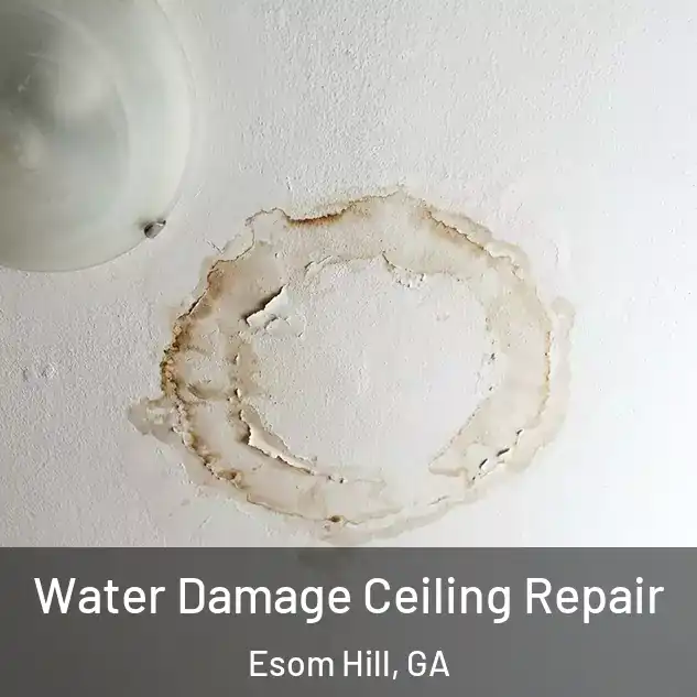  Water Damage Ceiling Repair Esom Hill, GA