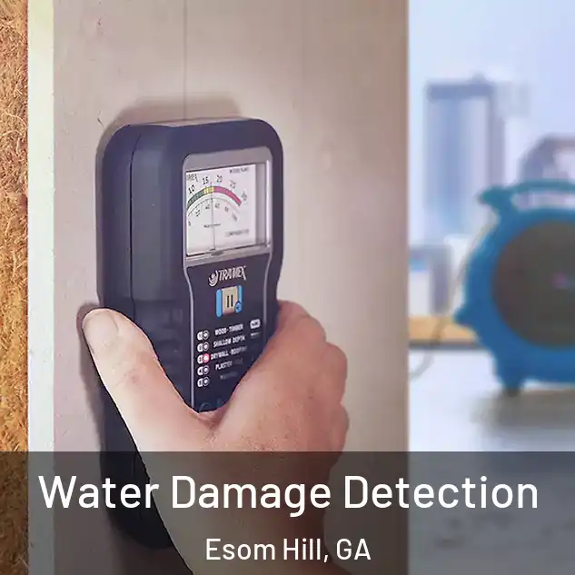  Water Damage Detection Esom Hill, GA