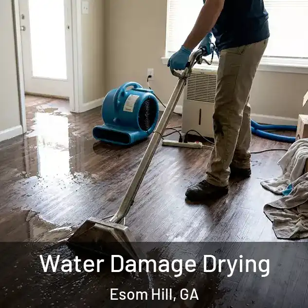  Water Damage Drying Esom Hill, GA